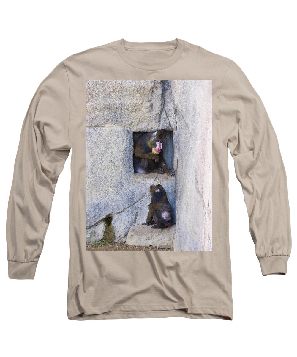 Baboons Long Sleeve T-Shirt featuring the photograph In the Box by Greg Kopriva