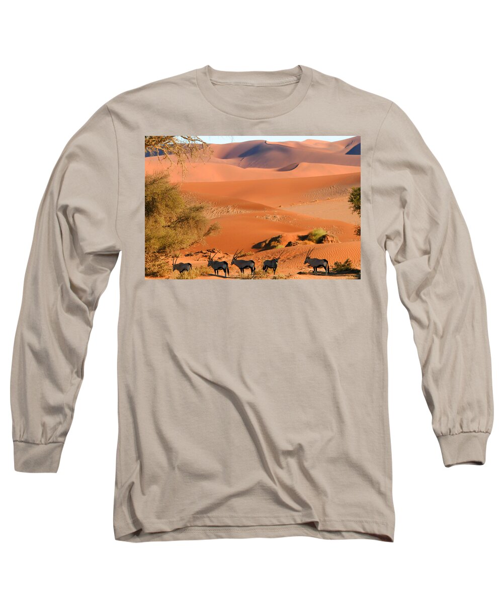 Antelope Long Sleeve T-Shirt featuring the photograph In the shade by Alistair Lyne