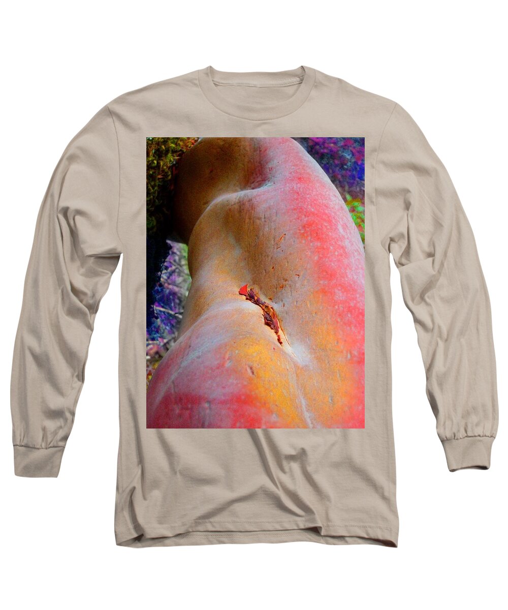 Nature Long Sleeve T-Shirt featuring the digital art Nectar by Richard Laeton