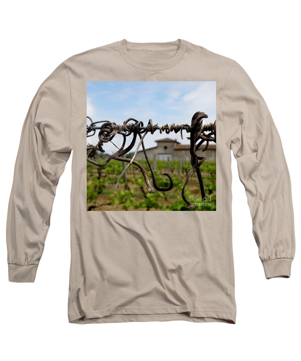 Vineyard Long Sleeve T-Shirt featuring the photograph Old and New by Lainie Wrightson