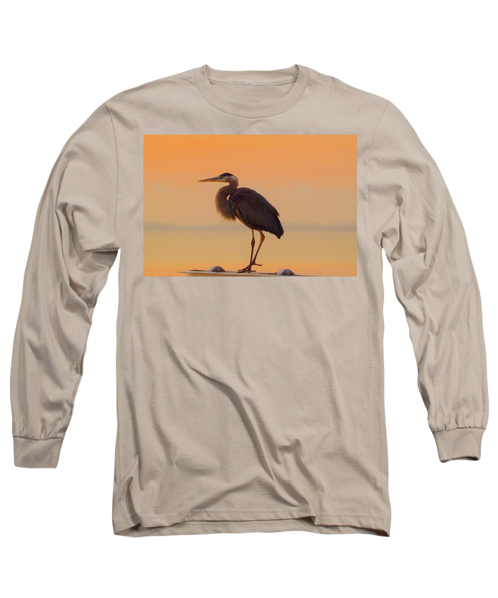 Resting Heron Animal Beak Beautiful Beauty Big Bird Black Blue Calm Colorful Cute Egret Environment Eye Face Feather Great Grey Head Heron Large Leg Long Look Lovely Mouth Nature Neck Outdoor Relaxing Rock Scene Serene Stand White Wildlife Long Sleeve T-Shirt featuring the photograph Resting Heron by Billy Beck