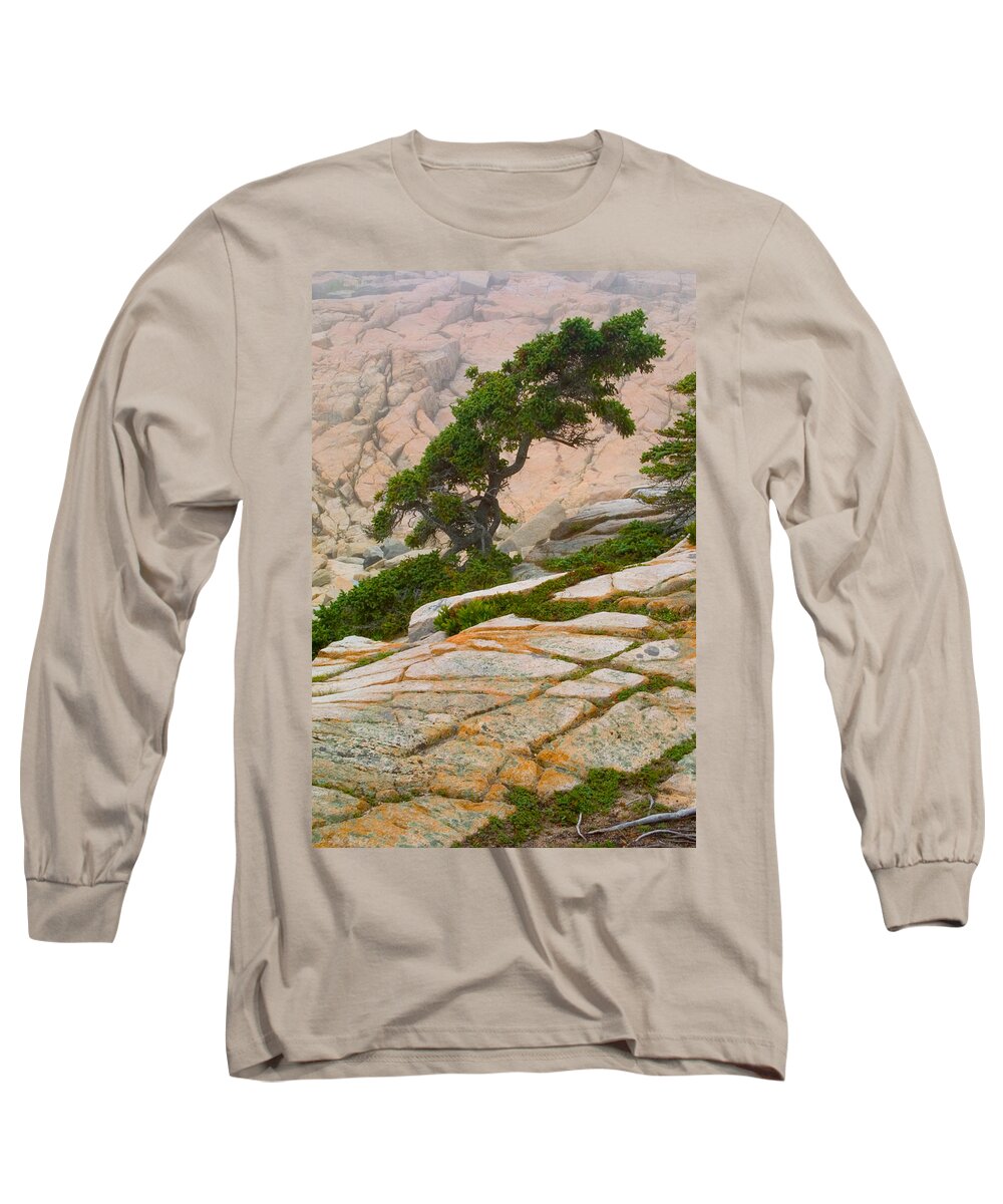 Pitch Pine Long Sleeve T-Shirt featuring the photograph Schoodic cliffs by Brent L Ander