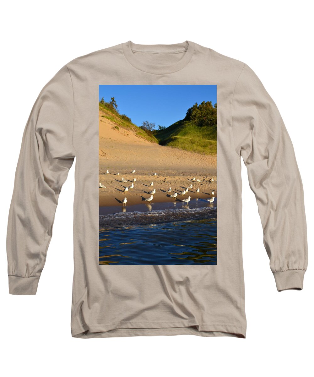 Lake Michigan Long Sleeve T-Shirt featuring the photograph Seagulls at the Bowl by Michelle Calkins