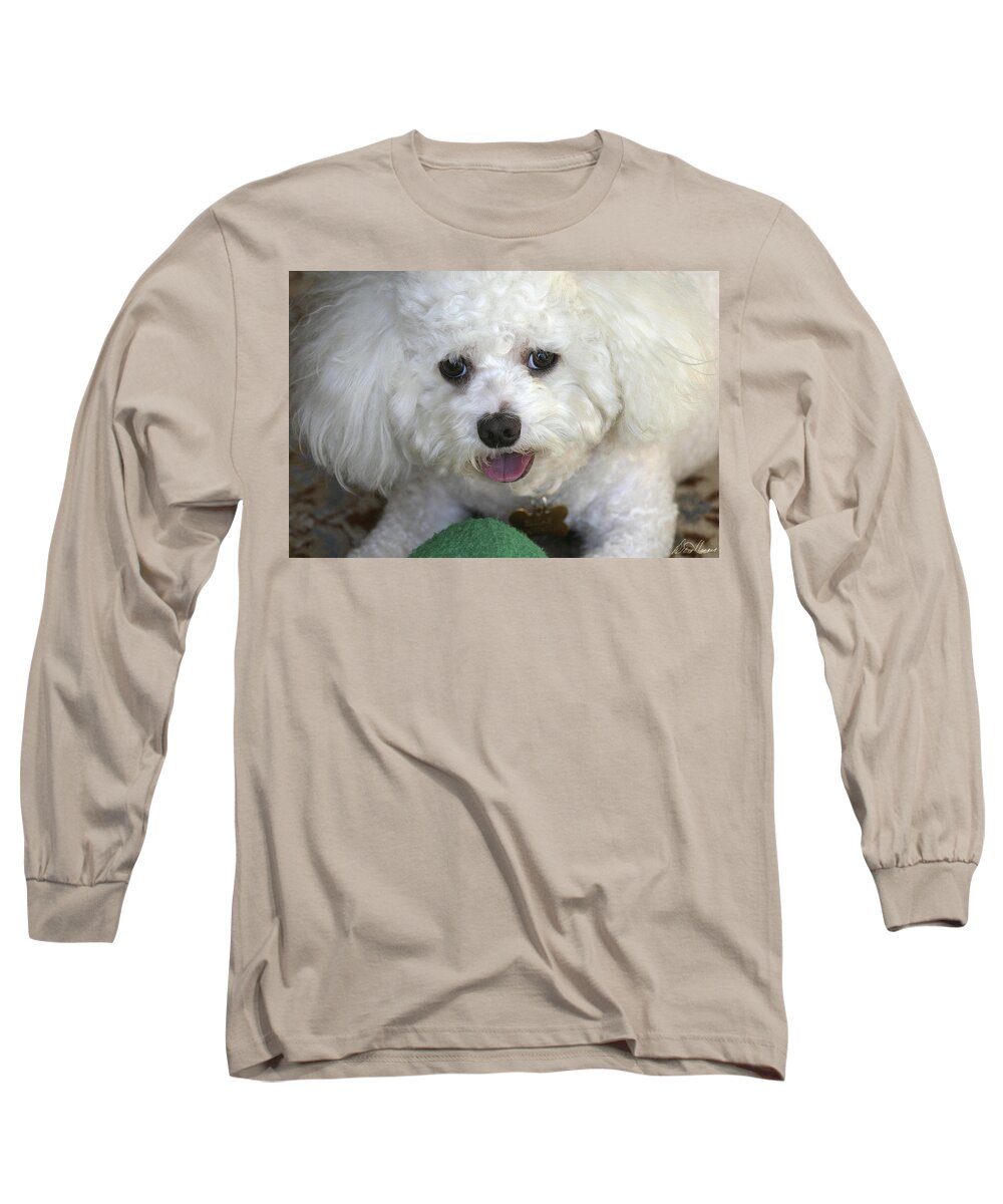 Dog Long Sleeve T-Shirt featuring the photograph Wanna Play Ball? by Diana Haronis
