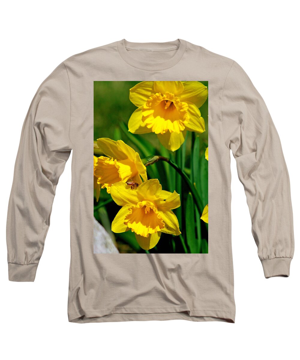 Beautiful Long Sleeve T-Shirt featuring the photograph Yellow Daffodils And Honeybee by Kay Novy