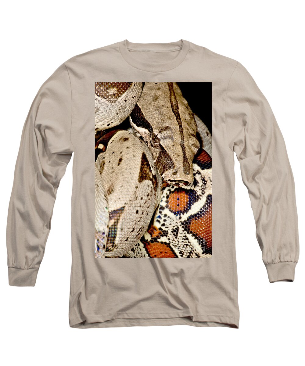 Snake Long Sleeve T-Shirt featuring the photograph Boa Constrictor #1 by Dant Fenolio