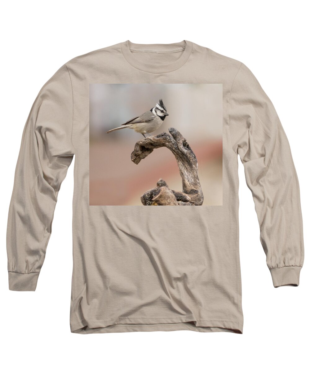 Bridled_titmouse Long Sleeve T-Shirt featuring the photograph Bridled Titmouse #3 by Tam Ryan