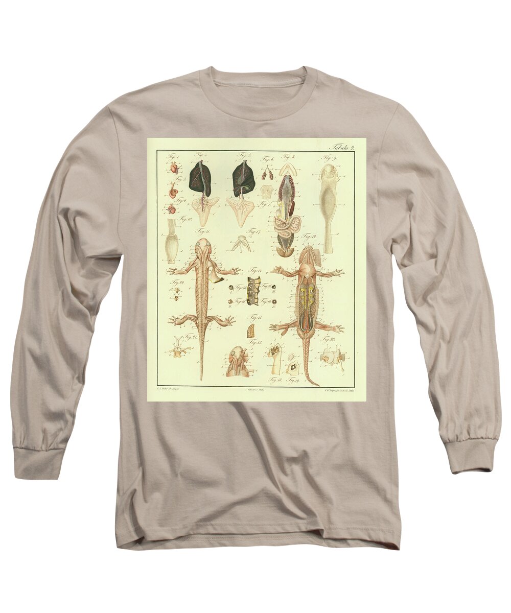 Salamander Long Sleeve T-Shirt featuring the drawing Fire Salamander Anatomy #2 by Christian Leopold Mueller