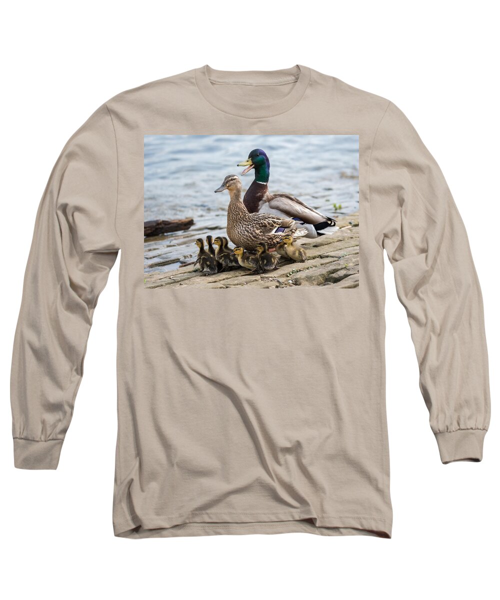 Mallard Long Sleeve T-Shirt featuring the photograph Mallard Duck Family by Holden The Moment