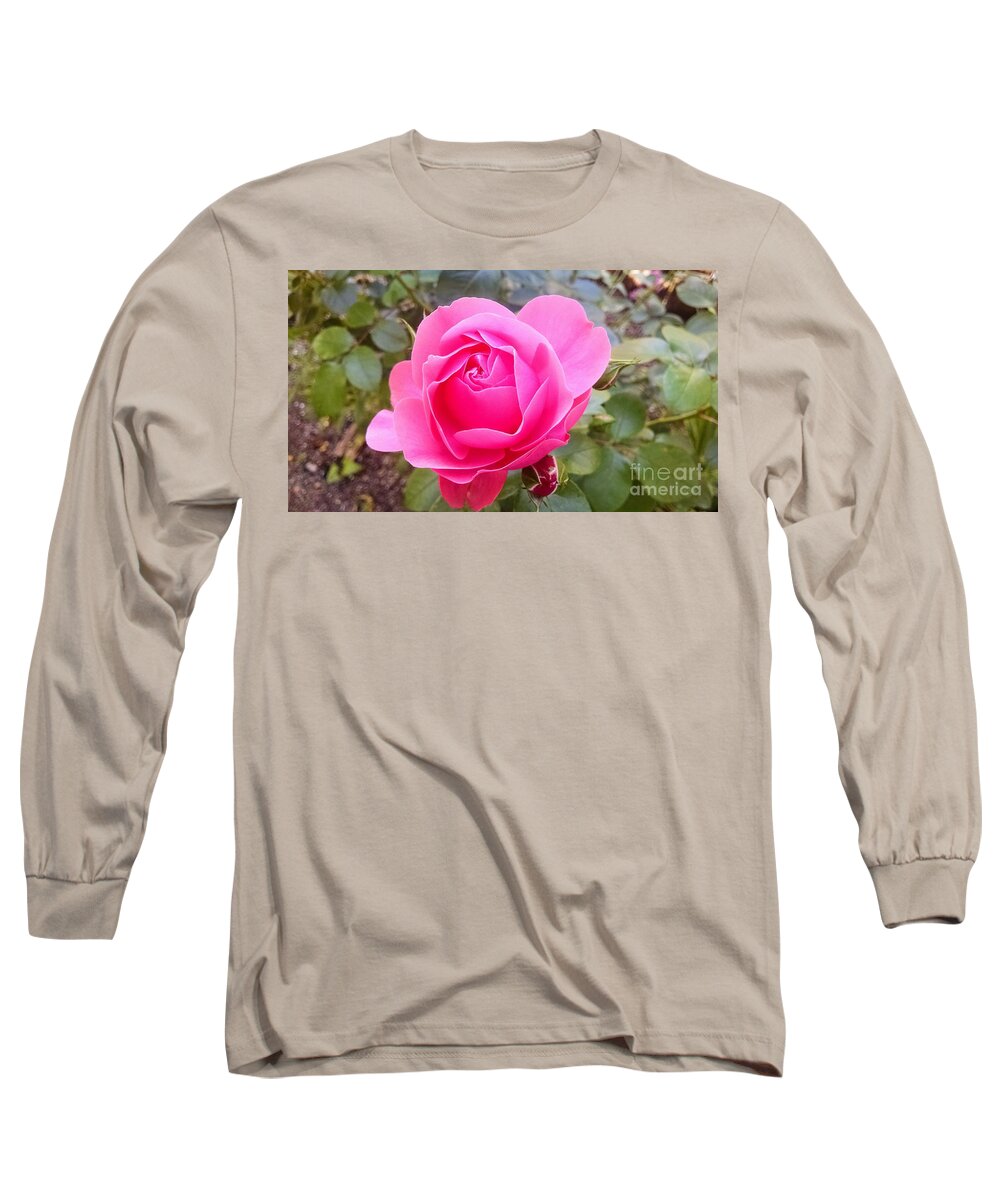 Floral Long Sleeve T-Shirt featuring the photograph Pink rose #1 by Steven Wills