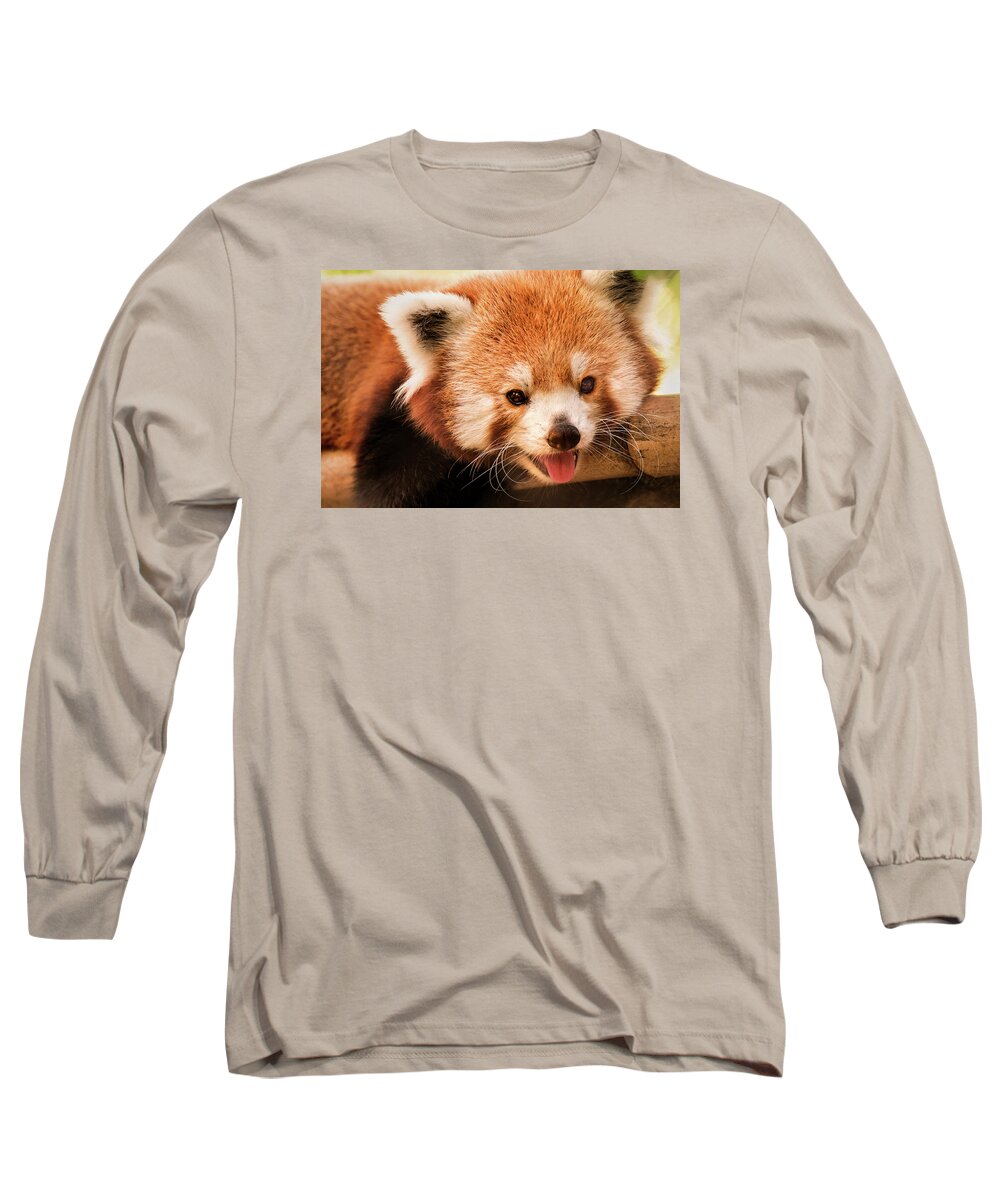 Red Panda Long Sleeve T-Shirt featuring the photograph Red Panda #1 by Don Johnson
