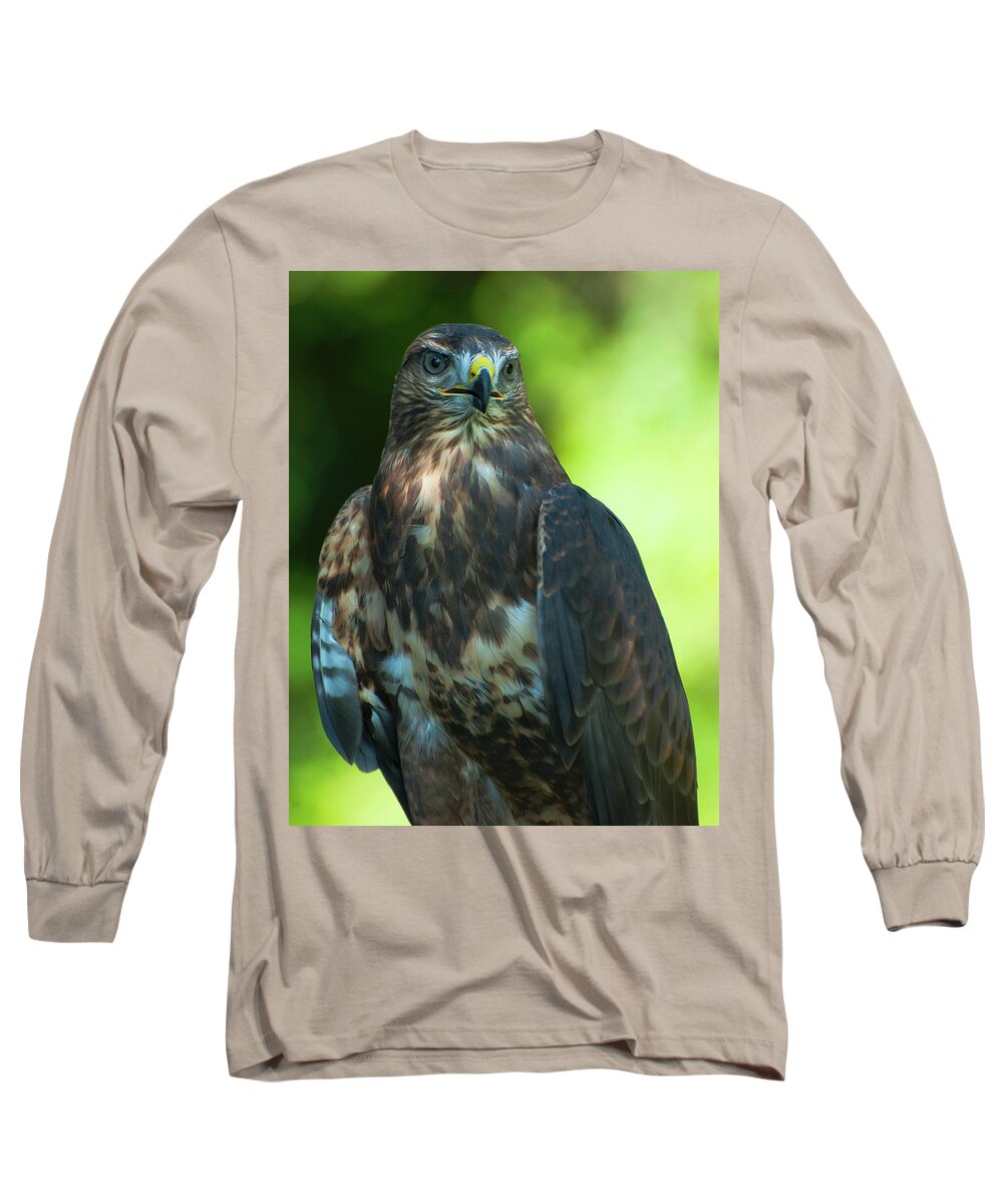 Hawk Long Sleeve T-Shirt featuring the photograph Red Tailed Hawk #2 by Pat Exum