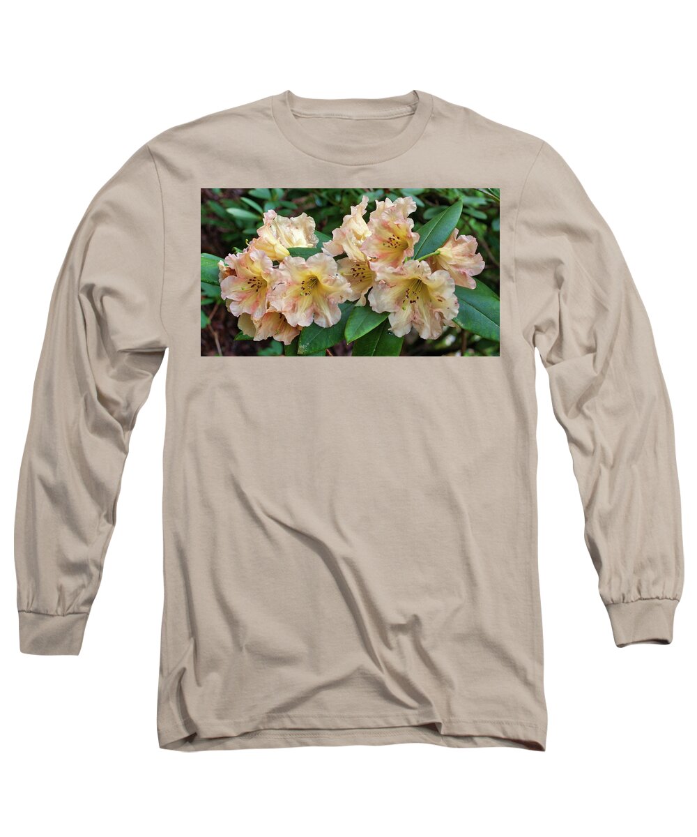 Oregon Long Sleeve T-Shirt featuring the photograph Rhododendron #3 by Harold Rau