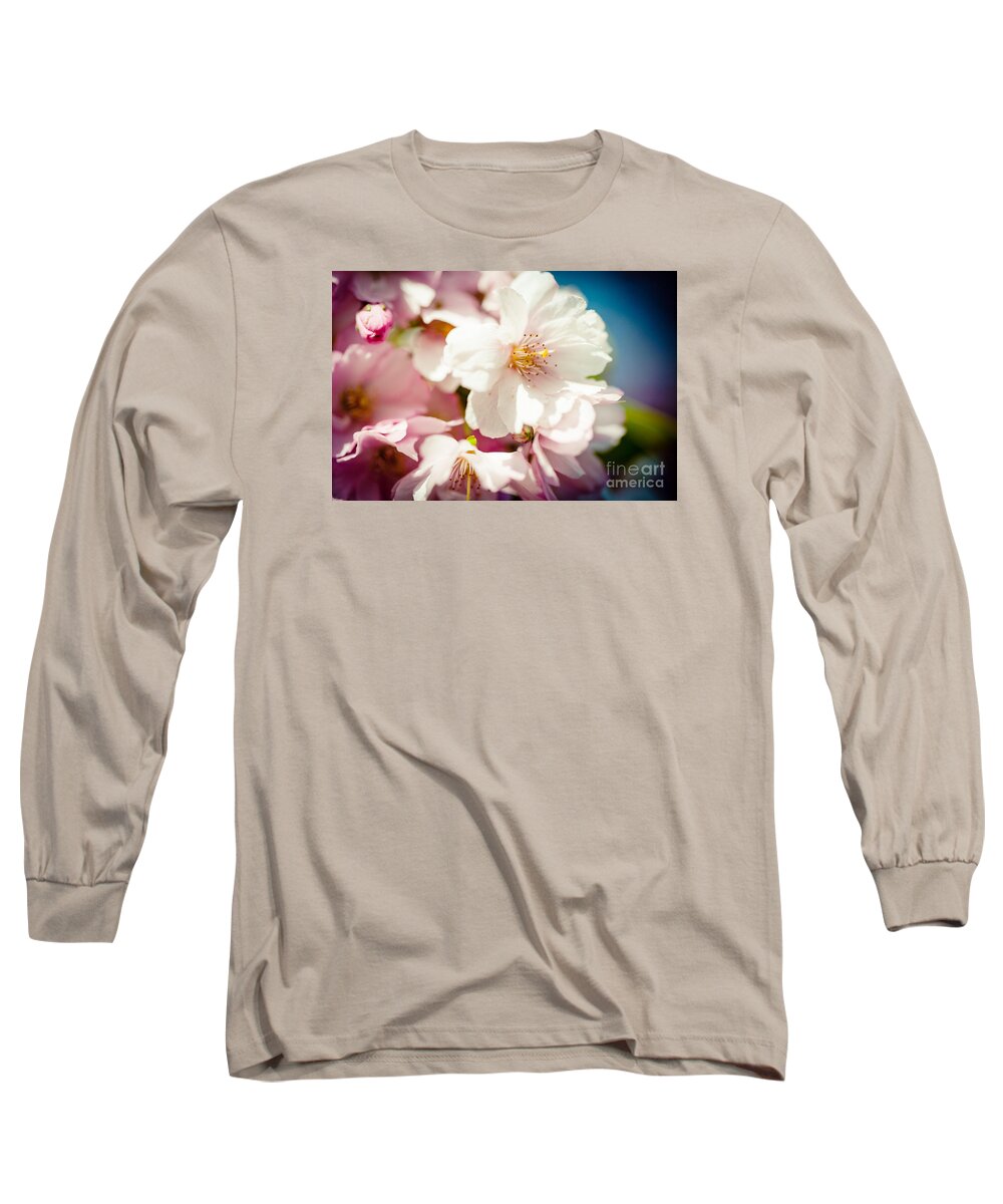 Flowers Long Sleeve T-Shirt featuring the photograph Sakura Blossoms Pink Cherry Artmif.lv #1 by Raimond Klavins