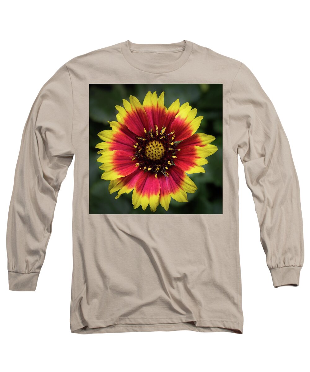 Flower Long Sleeve T-Shirt featuring the photograph Sunflower #2 by Ed Clark