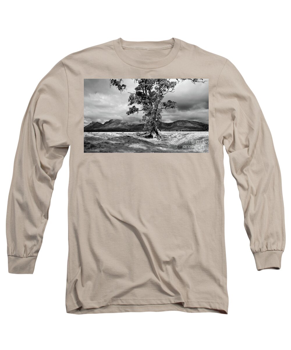 The Cazneaux Tree Flinderss Ranges South Australia Australia Landscape Landscapes Outback Gum Wilpena Pound Bw B&w Black And White Long Sleeve T-Shirt featuring the photograph The Cazneaux Tree #1 by Bill Robinson