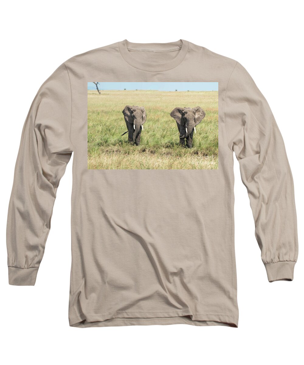 Elephants Long Sleeve T-Shirt featuring the photograph The Pair #1 by Pravine Chester