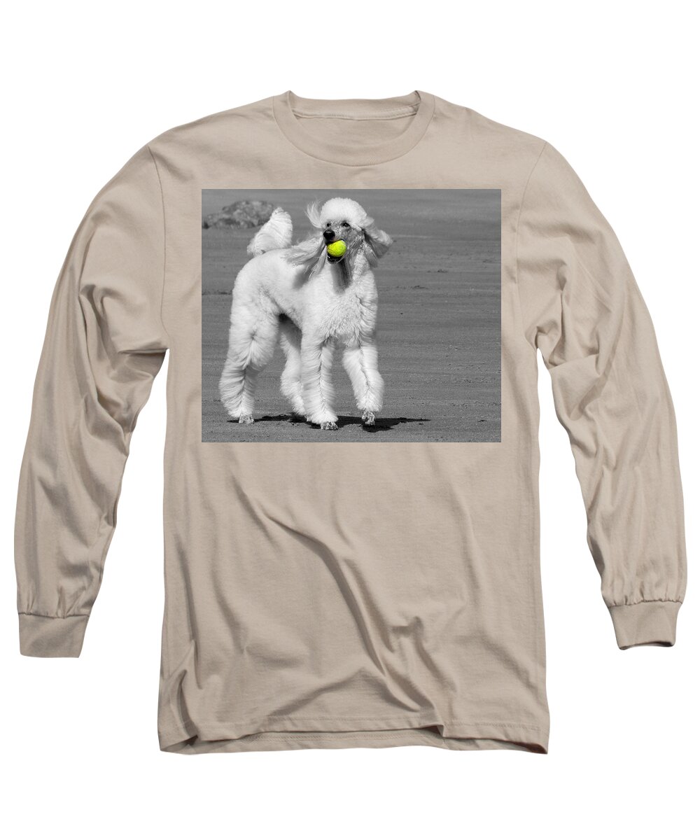 Dogs Long Sleeve T-Shirt featuring the photograph What's a Tennis Racquet? by Lori Lafargue