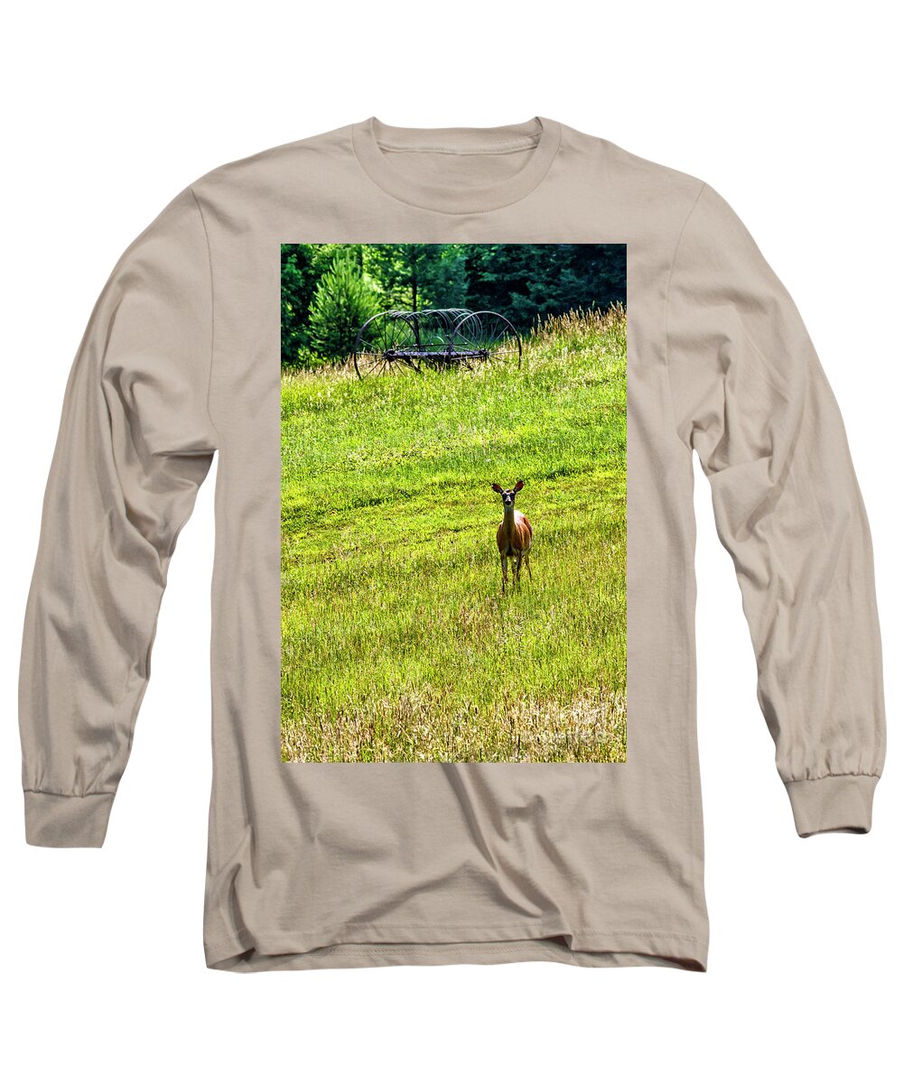 Whitetail Deer Long Sleeve T-Shirt featuring the photograph Whitetail Deer and Hay Rake #1 by Thomas R Fletcher