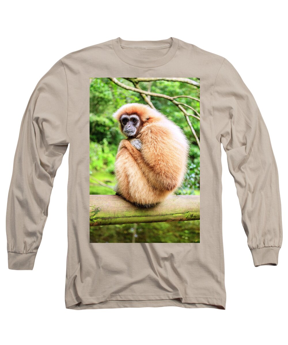 Plettenberg Bay Long Sleeve T-Shirt featuring the photograph Monday again by Alexey Stiop