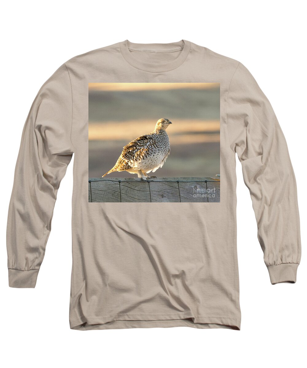 Bird Long Sleeve T-Shirt featuring the photograph Sharp Tailed Grouse #2 by Dennis Hammer