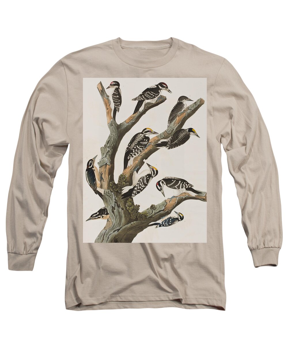 Woodpeckers Long Sleeve T-Shirt featuring the painting Woodpeckers by John James Audubon