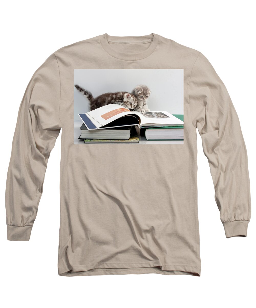 Scottish Fold Cats Long Sleeve T-Shirt featuring the photograph Scottish Fold cats #2 by Evgeniy Lankin