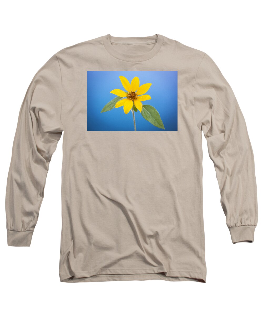 Sunflower Long Sleeve T-Shirt featuring the photograph Happy Sunflowers Helianthus #4 by Rich Franco