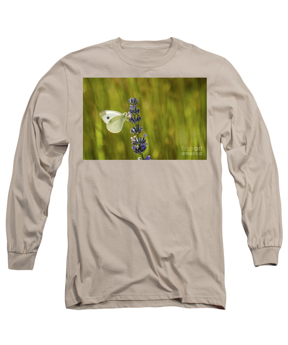 Animal Long Sleeve T-Shirt featuring the photograph Pieris brassicae, the large white, also called cabbage butterfly by Amanda Mohler