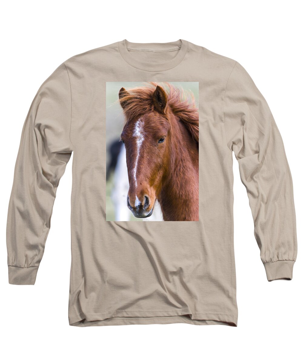Chestnut Horse Long Sleeve T-Shirt featuring the photograph A Chestnut Horse portrait by Andy Myatt