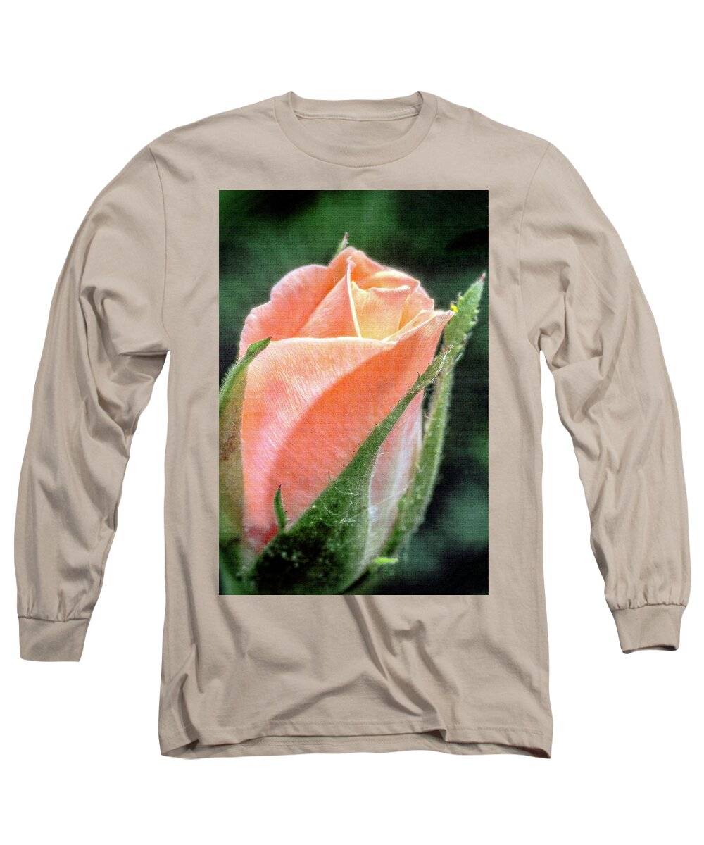 Flower Long Sleeve T-Shirt featuring the photograph A Rose is a Rose by Winnie Chrzanowski