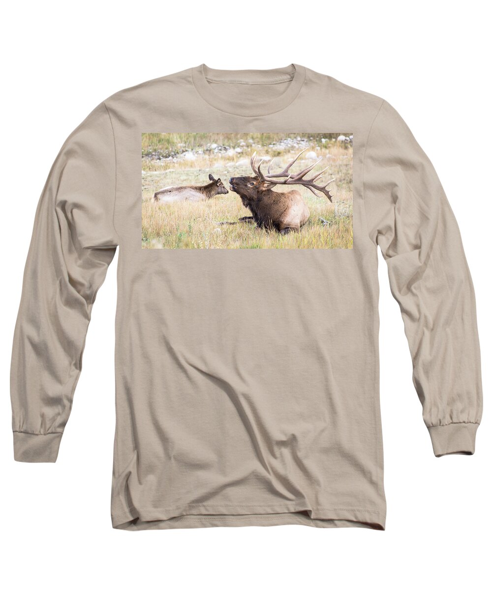Elk Long Sleeve T-Shirt featuring the photograph A Song of Love by Alex Lapidus