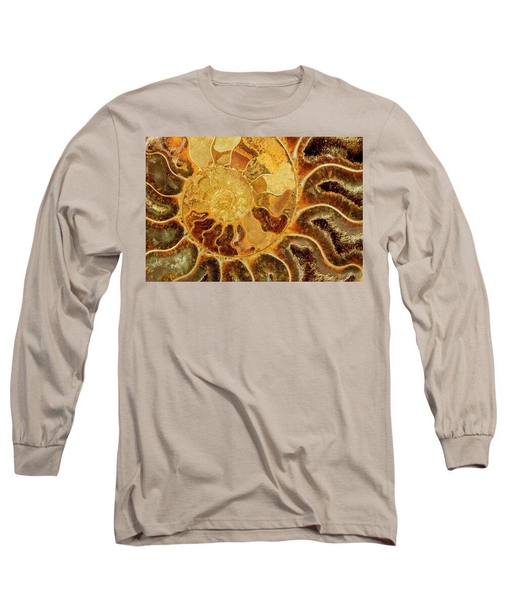 Madagascar Long Sleeve T-Shirt featuring the photograph Ancient Ammonite by Teri Virbickis