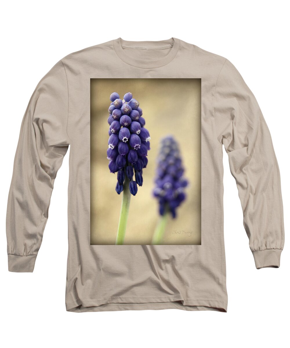 Muscari Long Sleeve T-Shirt featuring the photograph April Indigo by Chris Berry