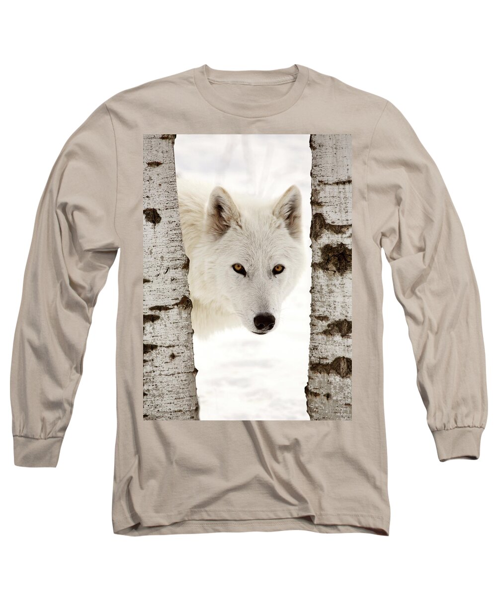 Arctic Wolf Long Sleeve T-Shirt featuring the digital art Arctic Wolf seen between two trees in winter by Mark Duffy