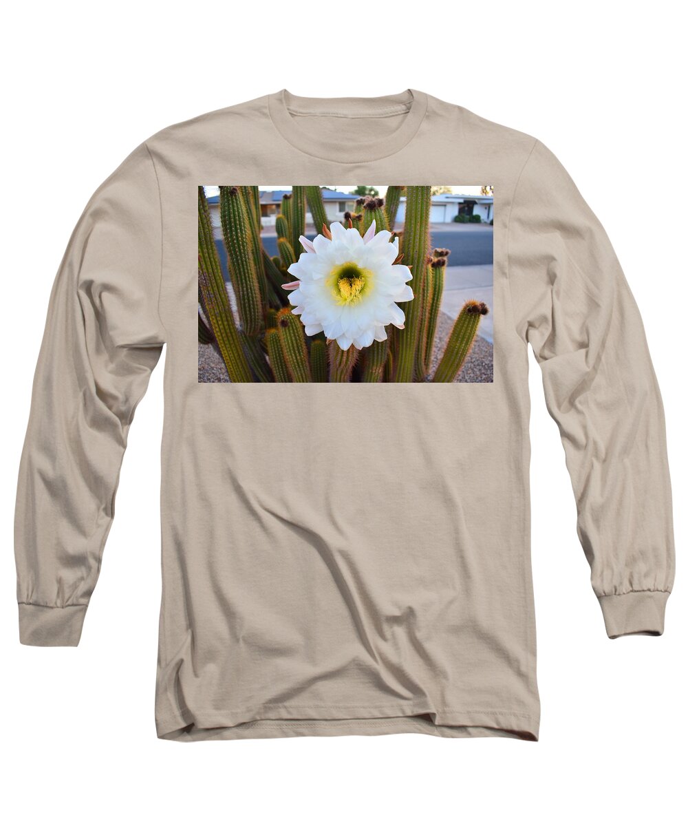 Argentine Long Sleeve T-Shirt featuring the photograph Argentine Giant Flower 1 by Nina Kindred