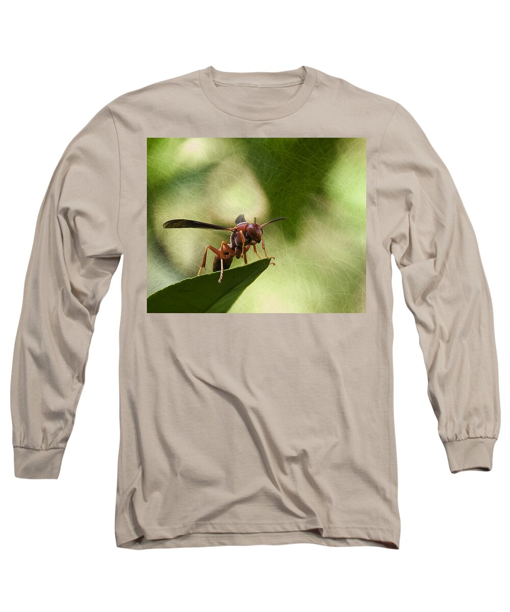 Wasp Long Sleeve T-Shirt featuring the photograph Attack Mode by Steven Richardson