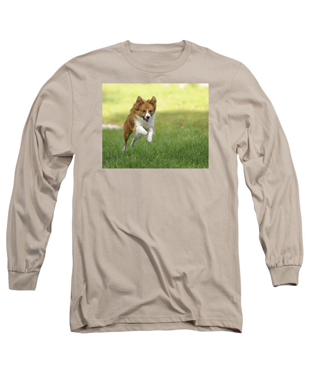 Aussi Long Sleeve T-Shirt featuring the photograph Aussi at Play by Keith Lovejoy
