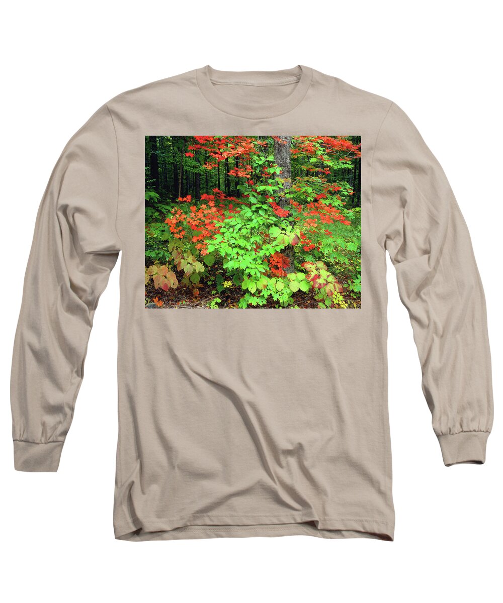 New York Adirondack Mountains Long Sleeve T-Shirt featuring the photograph Autumn Abstract by Frank Houck