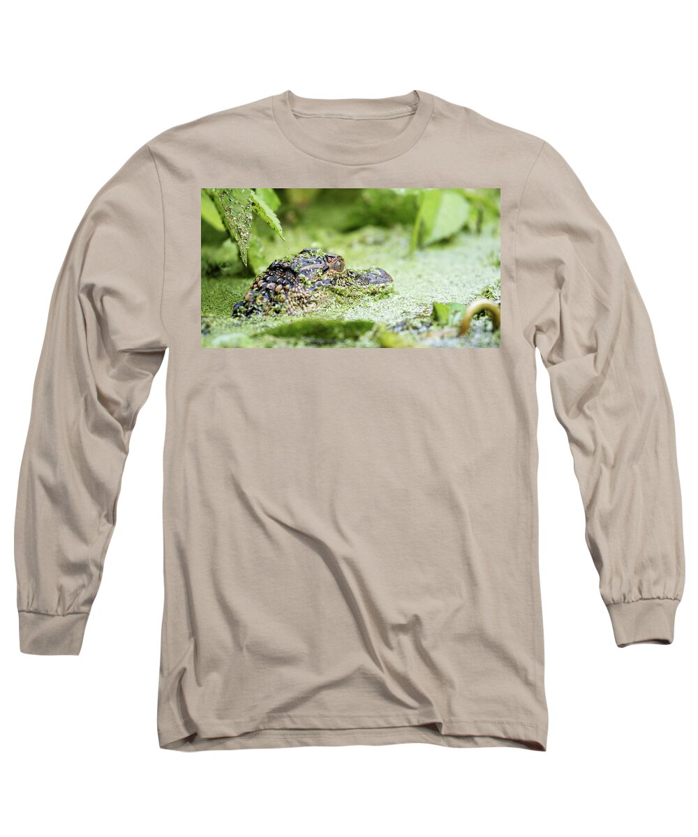 Alligator Long Sleeve T-Shirt featuring the photograph Baby Gator by Eilish Palmer