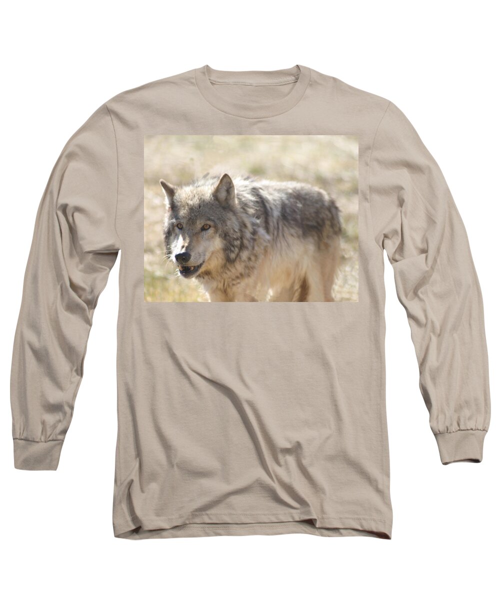 Wolf Long Sleeve T-Shirt featuring the digital art Back Off Buddy by Gary Baird