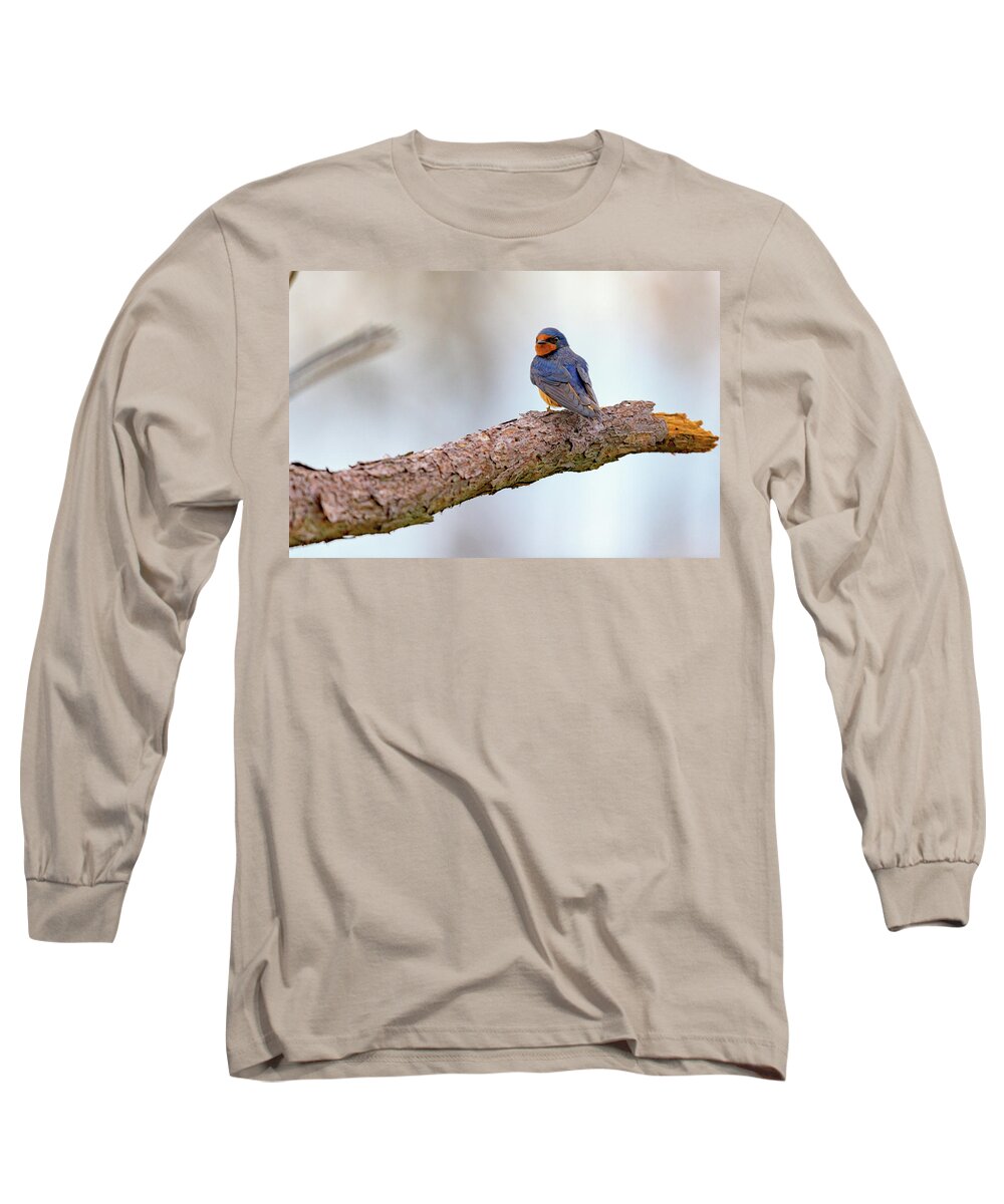 Barn Swallow Long Sleeve T-Shirt featuring the photograph Barn Swallow on Assateague Island by Rick Berk
