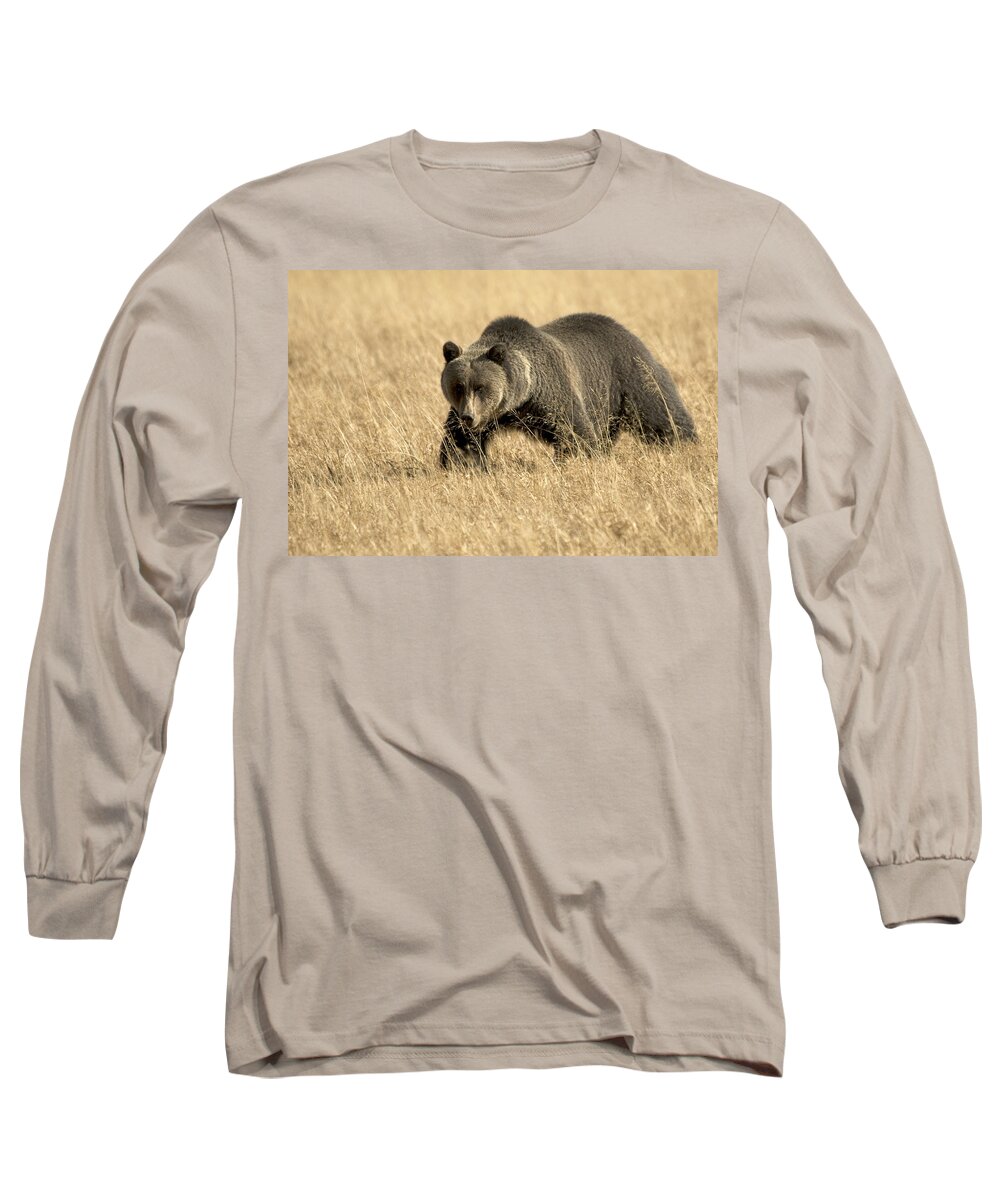 Bear Long Sleeve T-Shirt featuring the photograph Bear On The Prowl by Gary Beeler