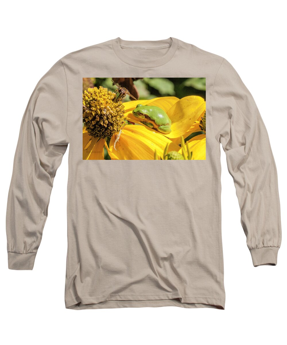  Long Sleeve T-Shirt featuring the photograph Bee Frog Spider.... by Paul Vitko