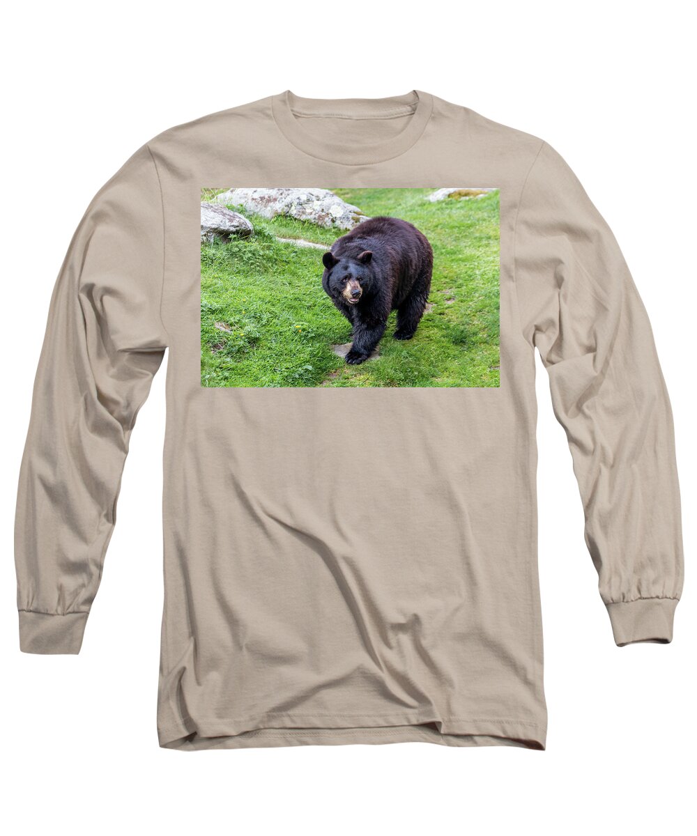 Bear Long Sleeve T-Shirt featuring the photograph Black Bear by Susie Weaver