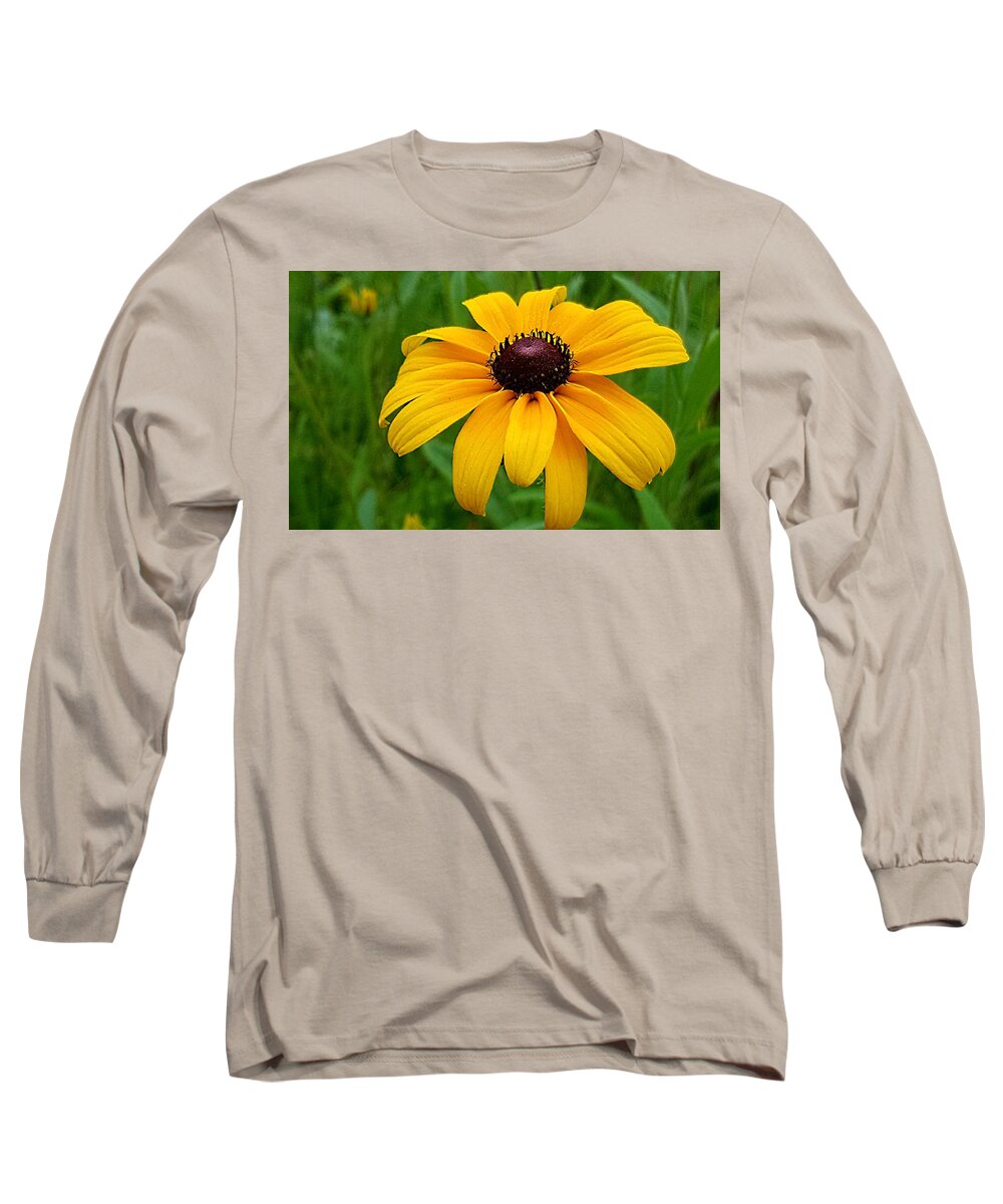 Lupins Long Sleeve T-Shirt featuring the photograph Black Eyed Susan by Michael Graham