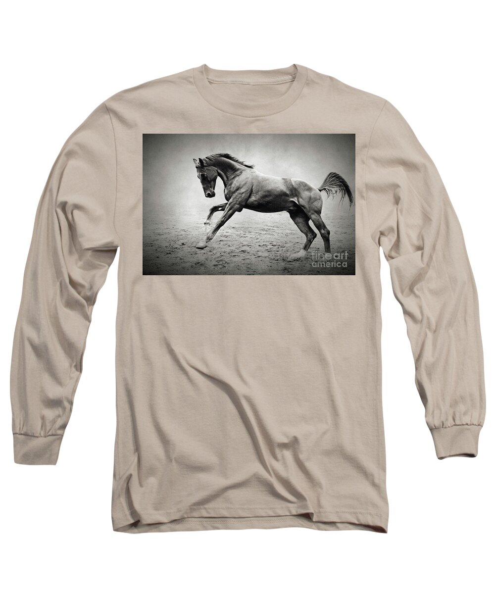 Horse Long Sleeve T-Shirt featuring the photograph Black horse in dust by Dimitar Hristov
