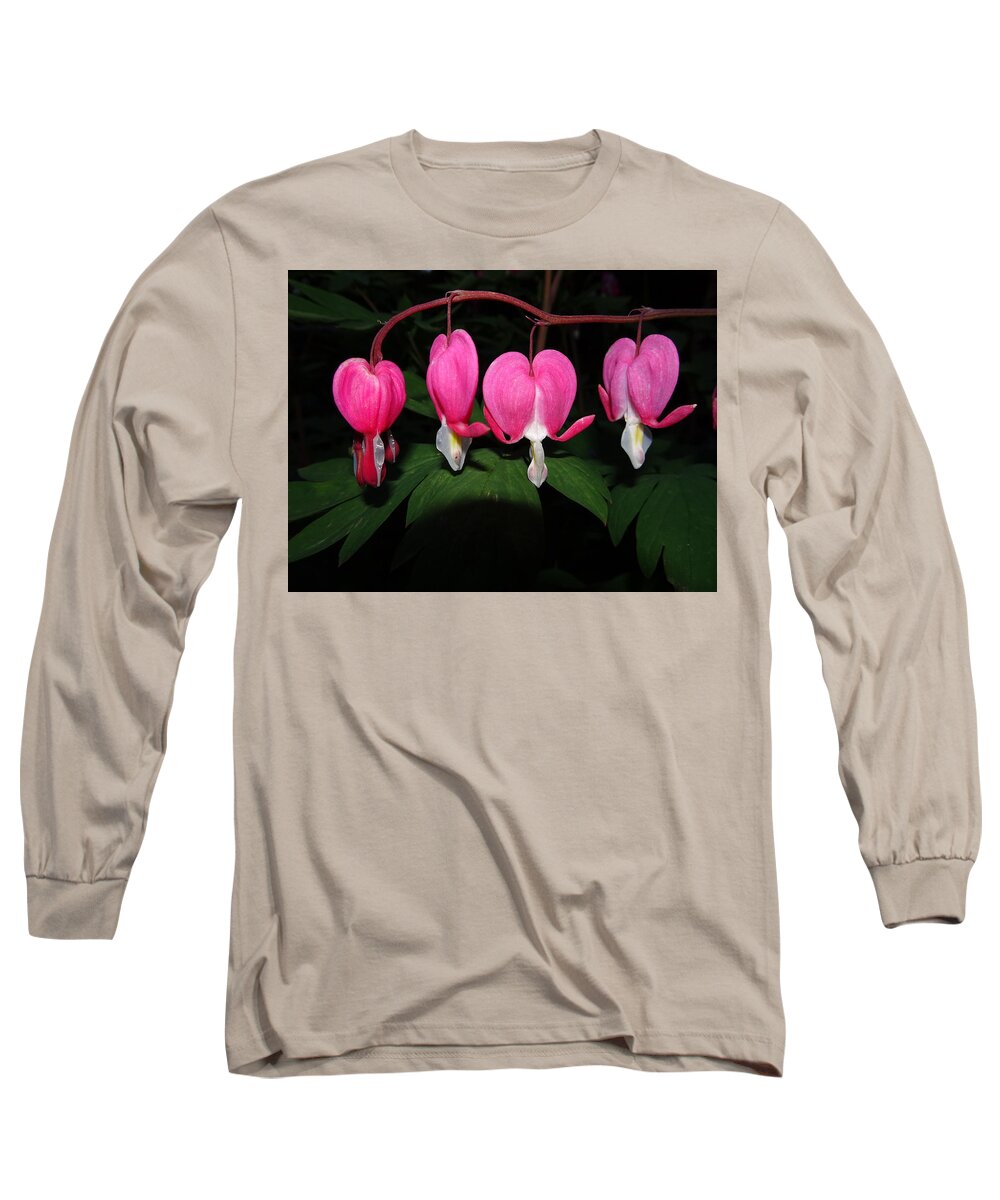 Dicentra Long Sleeve T-Shirt featuring the photograph Bleeding Hearts by Susan Baker