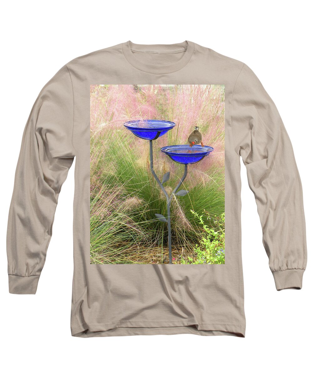 Baths Long Sleeve T-Shirt featuring the photograph Blue Bird Bath by Rosalie Scanlon