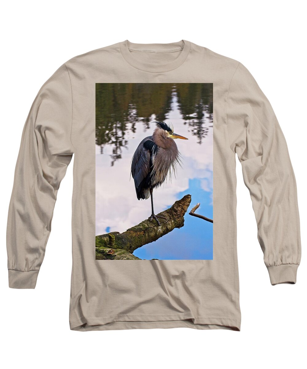 Great Blue Heron Long Sleeve T-Shirt featuring the photograph Blue Heron Edgy by Allan Van Gasbeck